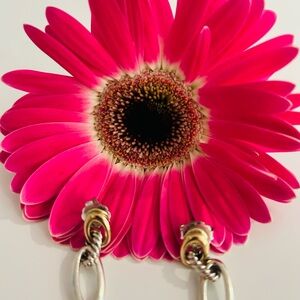 David Yurman, Sterling, silver and 18 karat gold oval link cable earrings